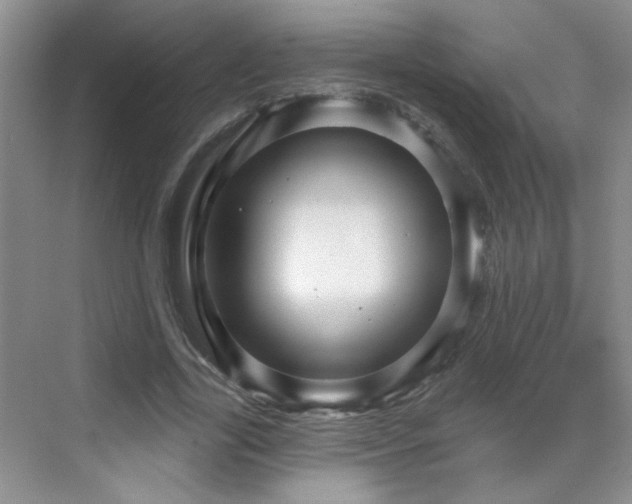 X0000070420731200606161437