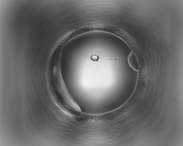 X0000070420732200606161437