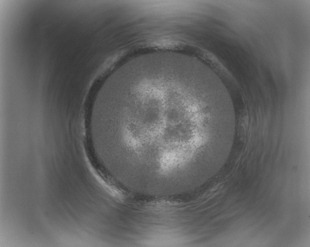 X0000070420734200606161437