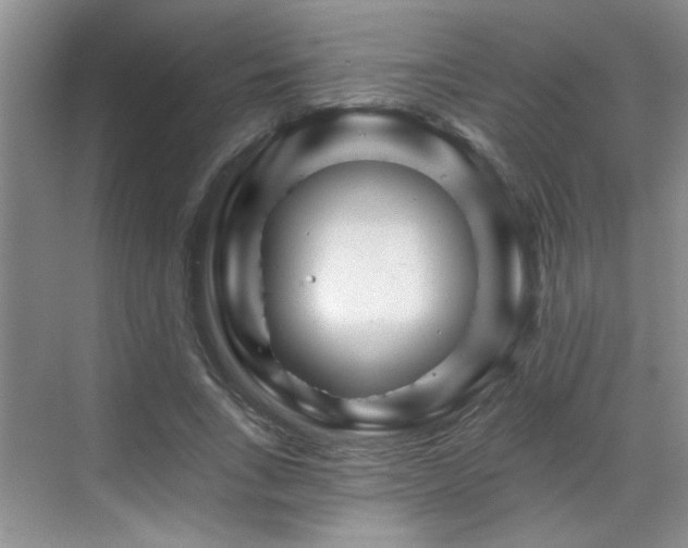 X0000070420735200606161437