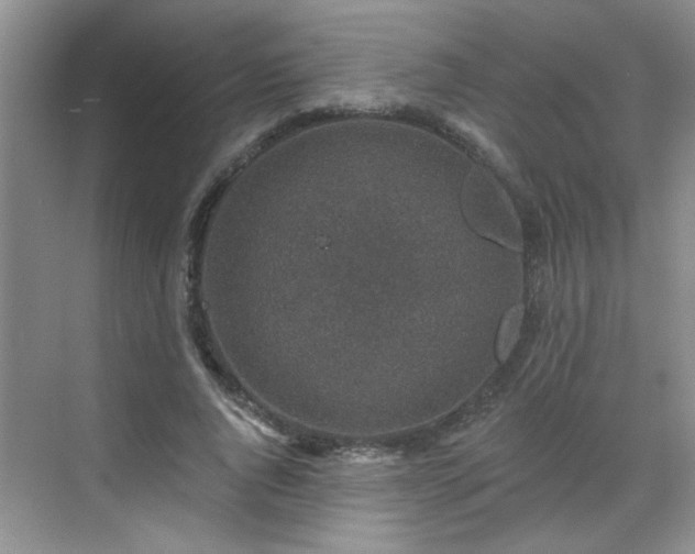 X0000070420736200606161437