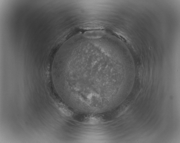 X0000070420737200606161437