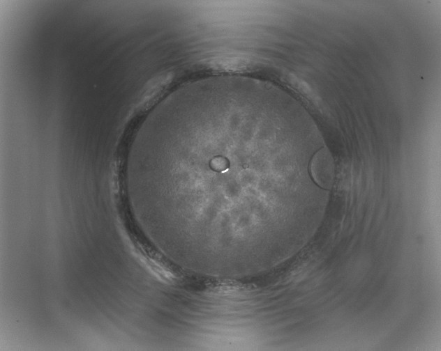 X0000070420738200606161437