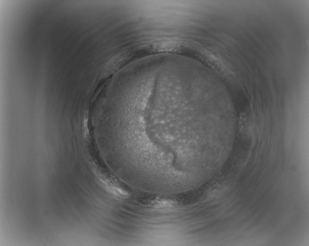 X0000070420741200606161437