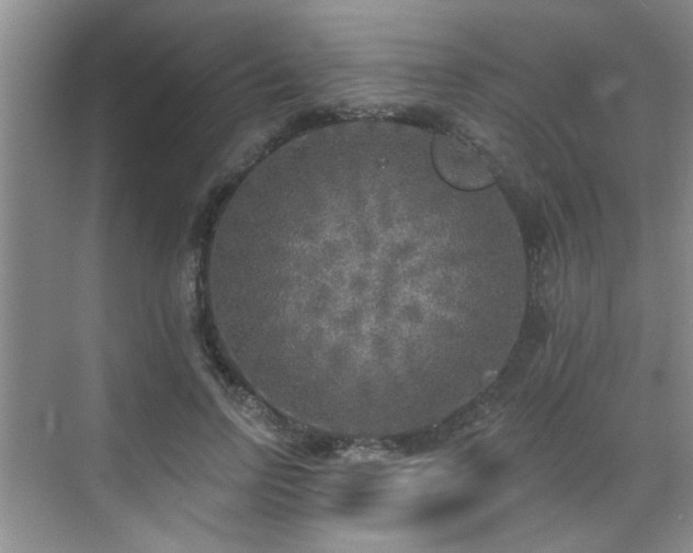 X0000070420742200606161437