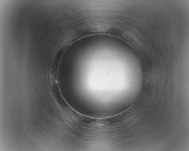 X0000070420743200606161437