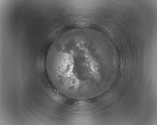 X0000070420745200606161437