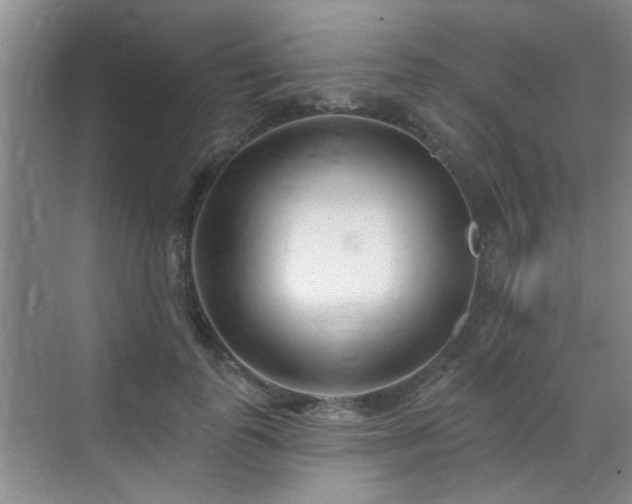 X0000070420747200606161437