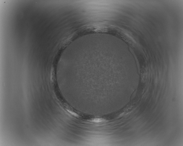 X0000070420748200606161437