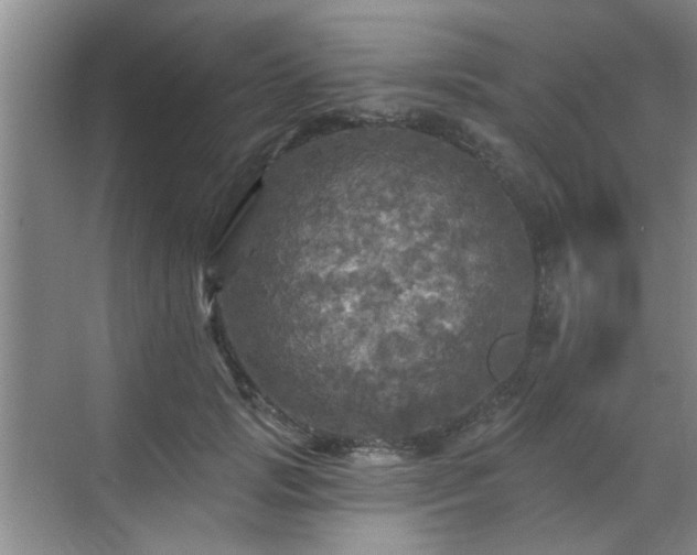 X0000070420749200606161437