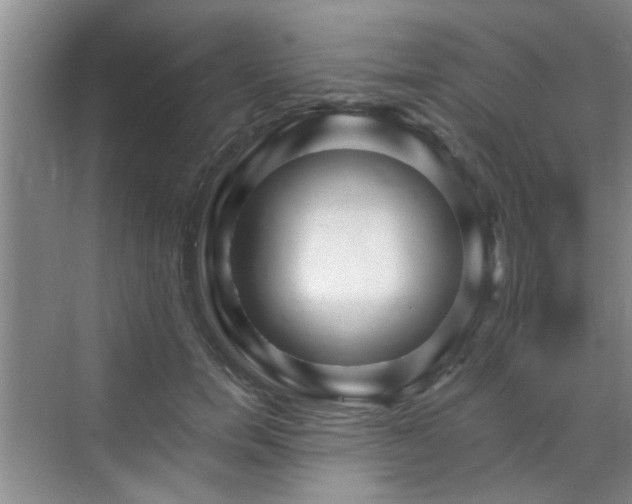 X0000070420750200606161437