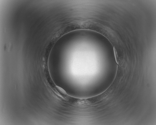 X0000070420752200606161437