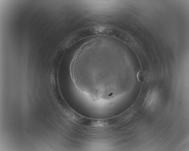 X0000070420754200606161438