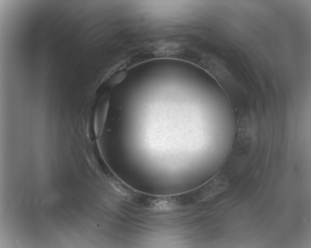 X0000070420755200606161438