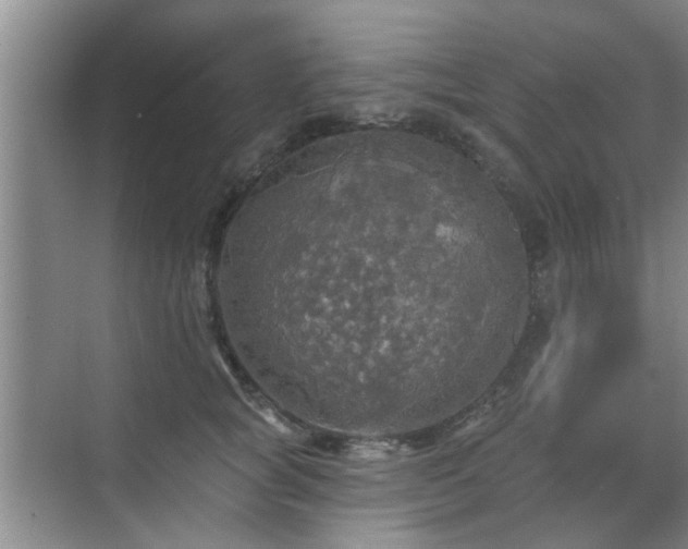 X0000070420757200606161438