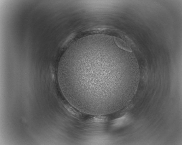 X0000070420758200606161438