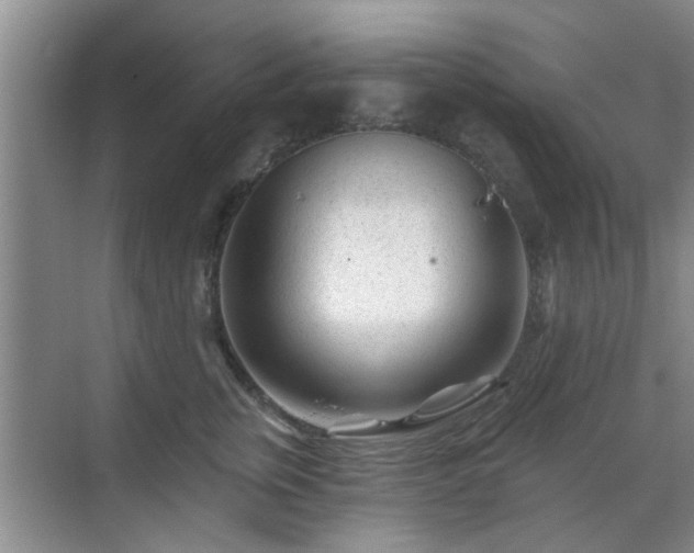 X0000070420759200606161438