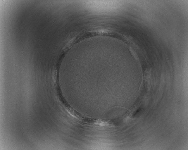 X0000070420760200606161438