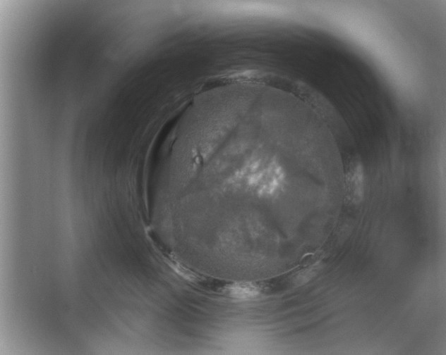 X0000070420765200606161438