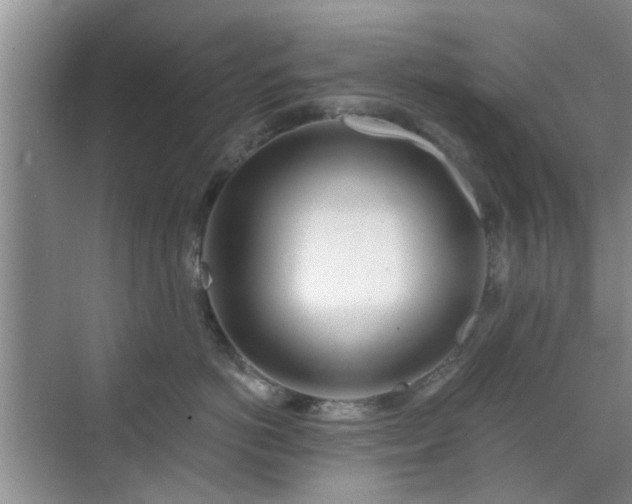 X0000070420766200606161438