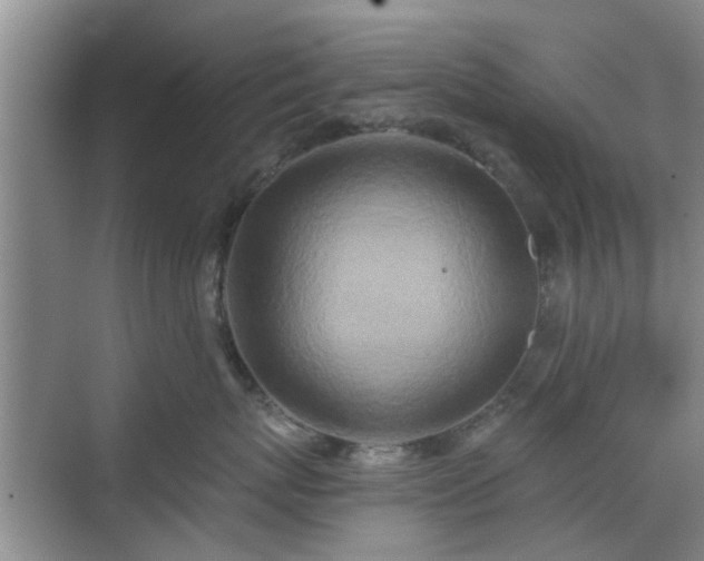 X0000070420767200606161438