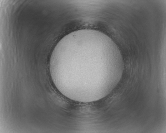 X0000070420769200606161437