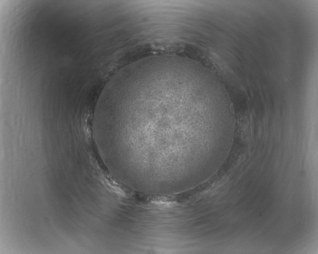 X0000070420770200606161437