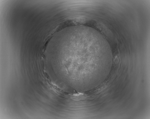 X0000070420772200606161437