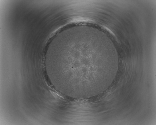 X0000070420775200606161437