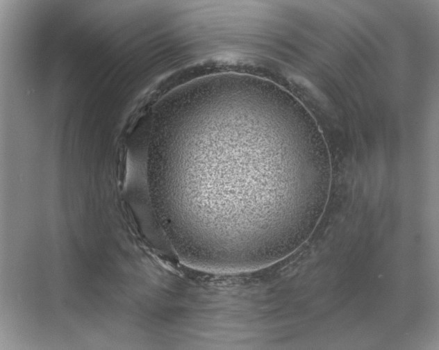 X0000070420776200606161437