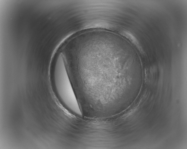 X0000070420780200606161437