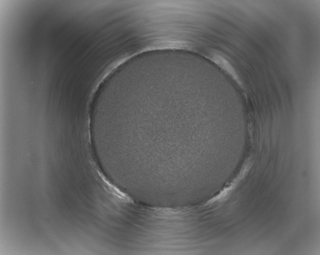 X0000070420781200606161437