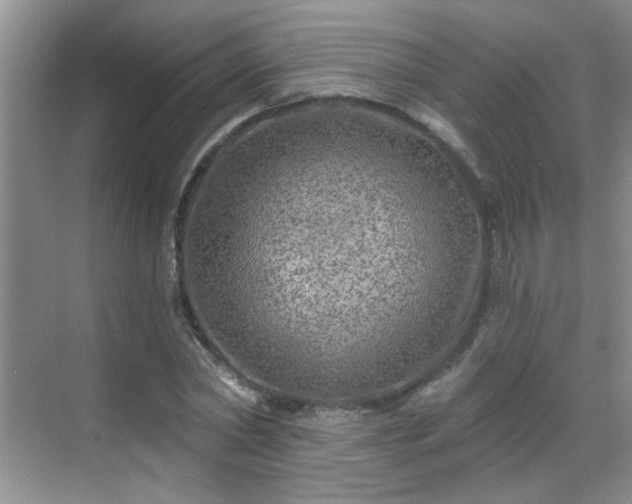 X0000070420782200606161437