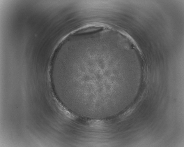 X0000070420783200606161437