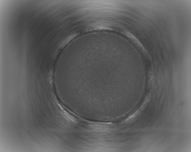 X0000070420785200606161437