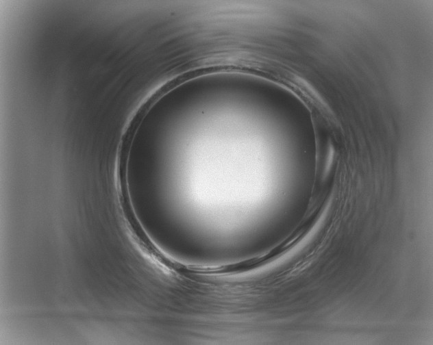 X0000070420788200606161437