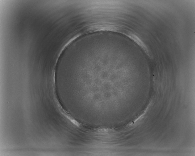 X0000070420790200606161437