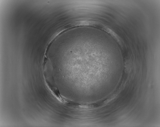 X0000070420794200606161437