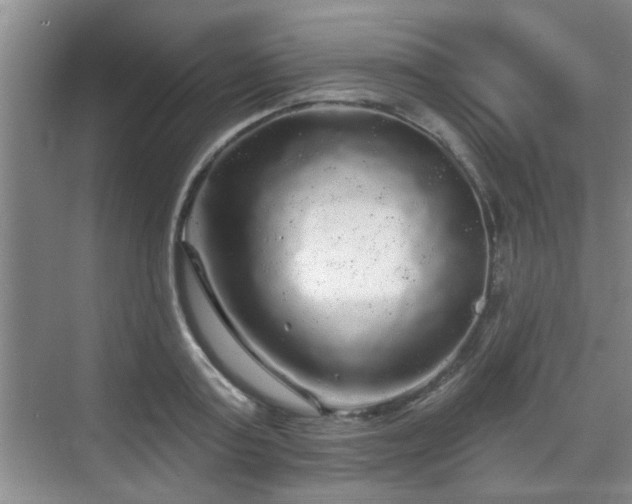 X0000070420795200606161436