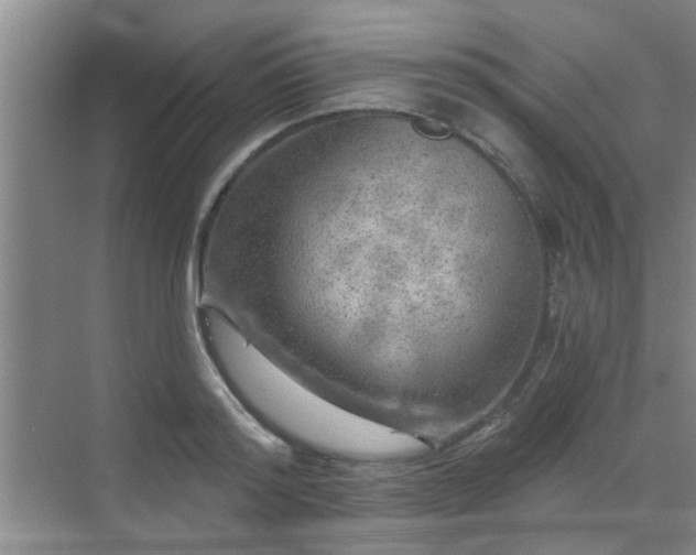 X0000070420796200606161436