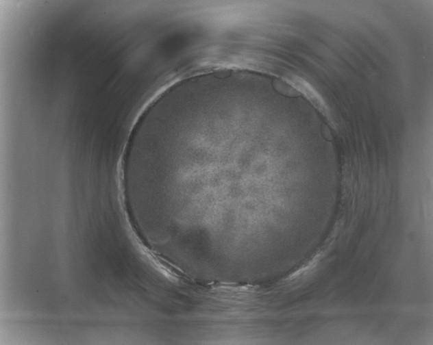 X0000070420798200606161436