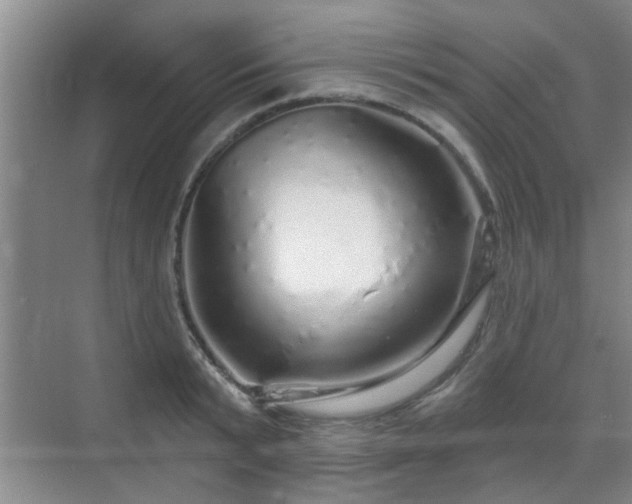 X0000070420799200606161436