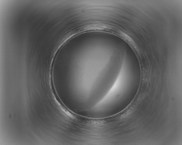 X0000070420802200606161436