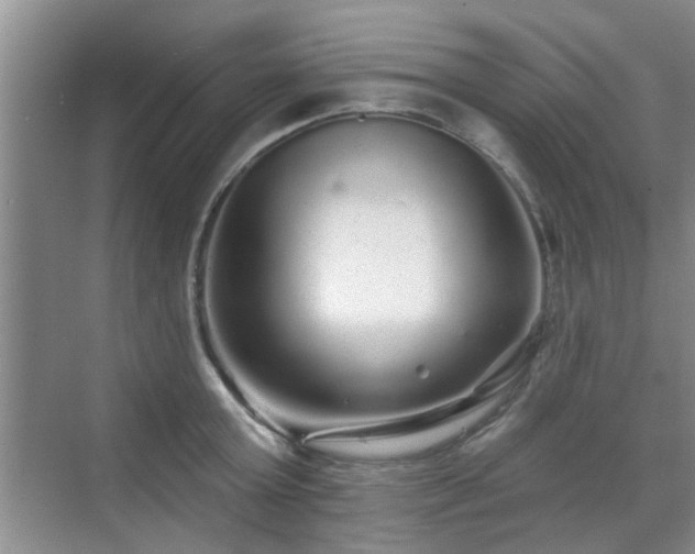 X0000070420803200606161436