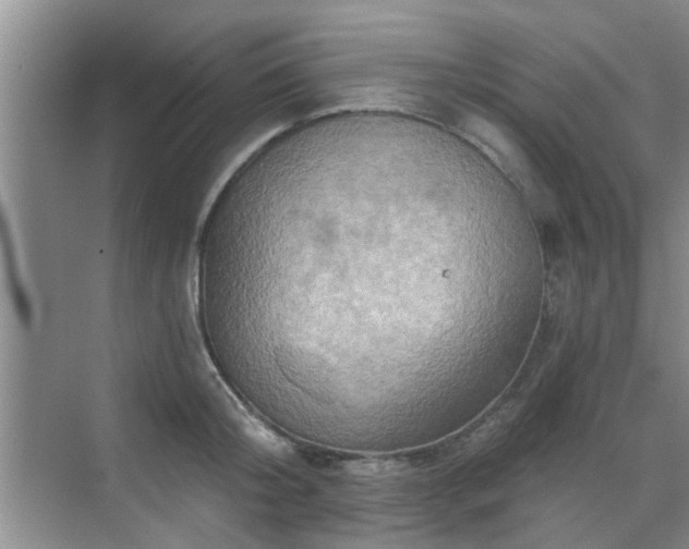 X0000070420804200606161436