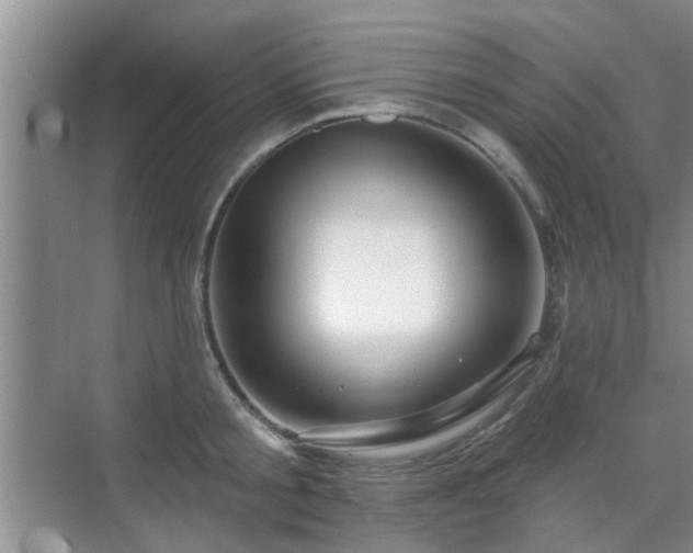 X0000070420805200606161436