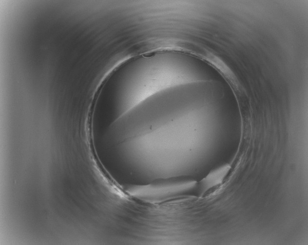 X0000070420806200606161436