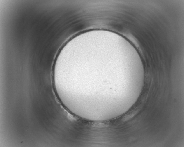 X0000070420807200606161436