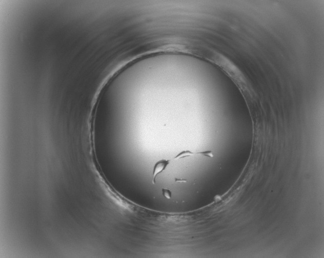 X0000070420808200606161436