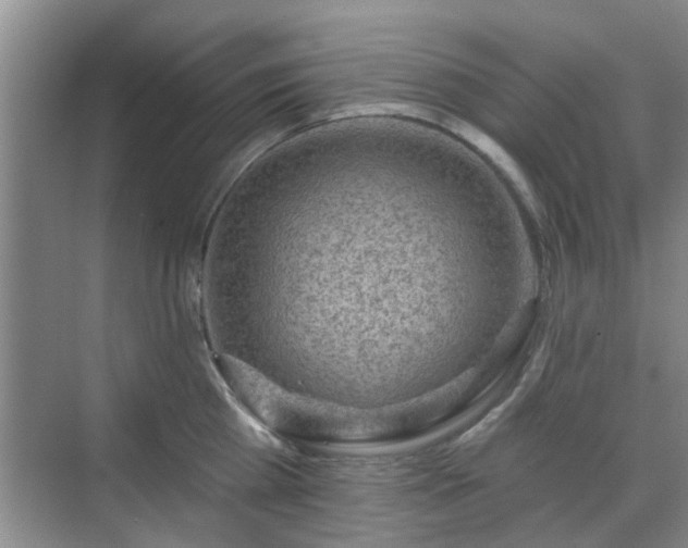 X0000070420809200606161436